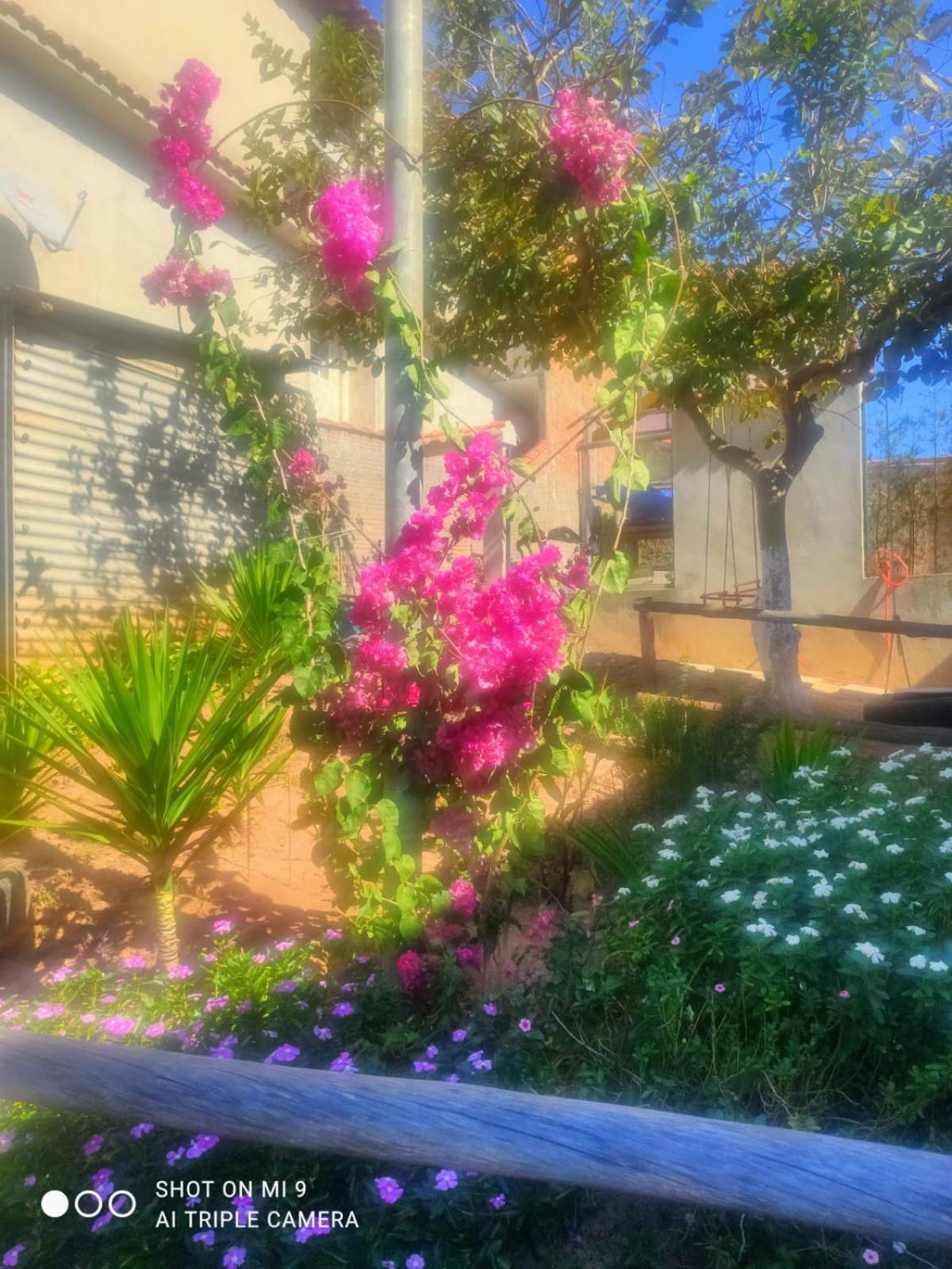 Appartamento Casa Aconchegante Sao Lourenco  Esterno foto