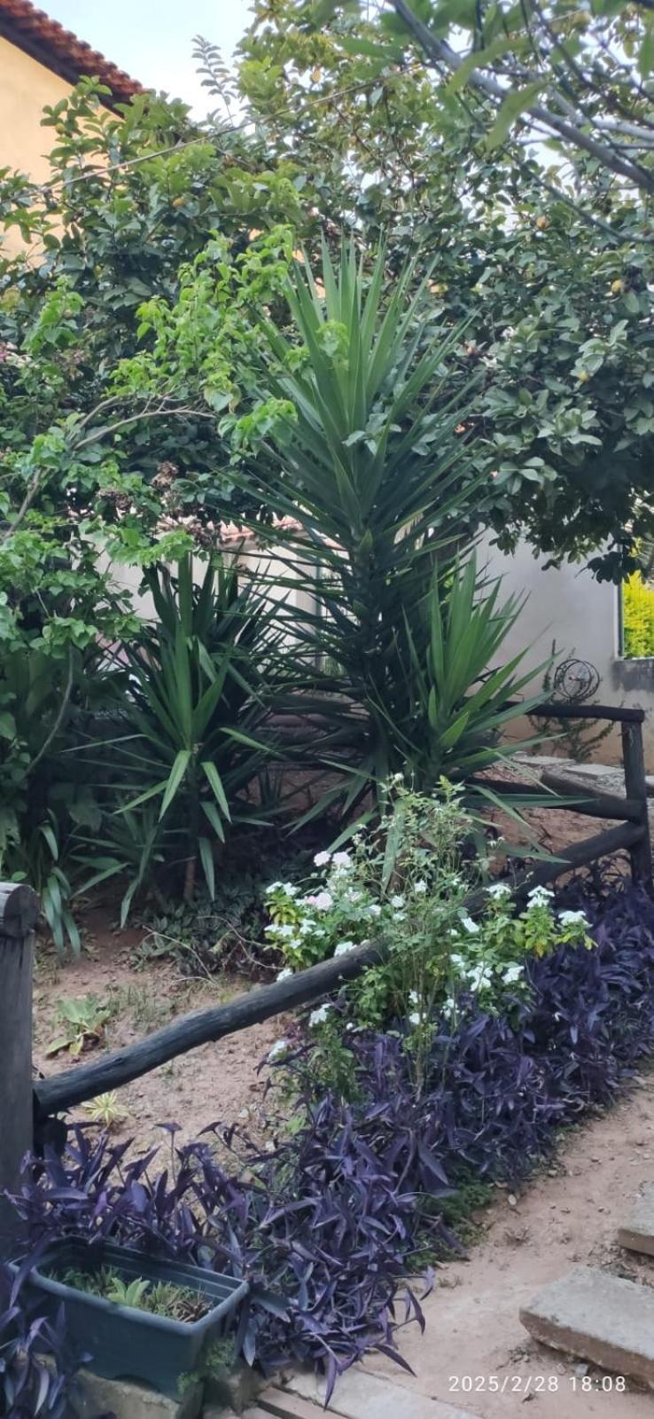 Appartamento Casa Aconchegante Sao Lourenco  Esterno foto